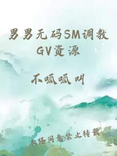 男男无码SM调教GV资源