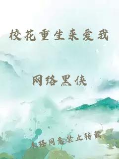 校花重生来爱我