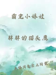 霸宠小娇娃