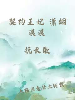 契约王妃 潇烟漠漠