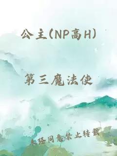 公主(NP高H)