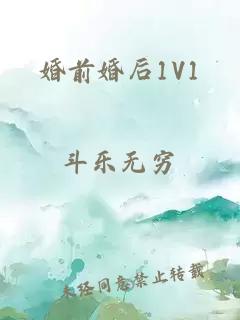 婚前婚后1V1