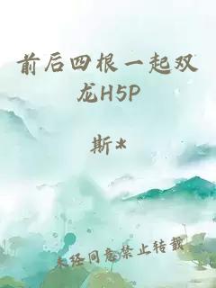 前后四根一起双龙H5P