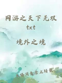 网游之天下无双txt