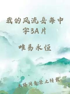 我的风流岳每中字3A片