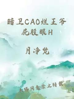 暗卫CAO烂王爷屁股眼H