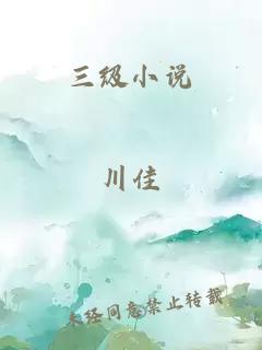 三级小说