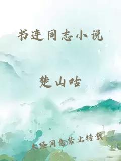 书连同志小说