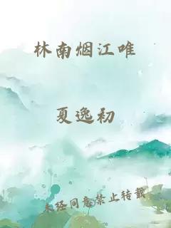 林南烟江唯