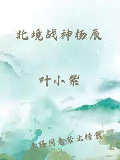 北境战神杨辰