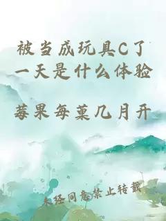 被当成玩具C了一天是什么体验