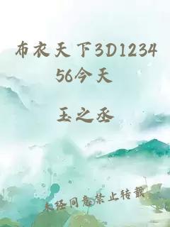 布衣天下3D123456今天