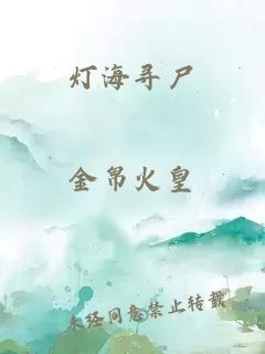 灯海寻尸