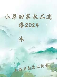 小草回家永不迷路2024