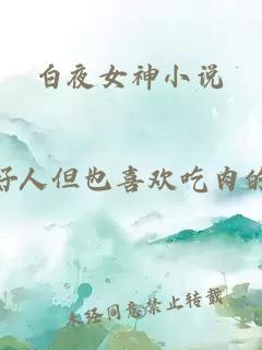 白夜女神小说