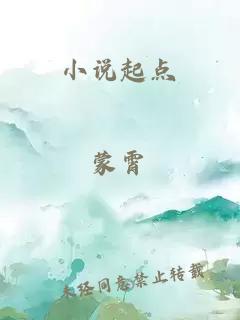 小说起点