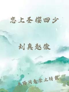 恋上圣樱四少