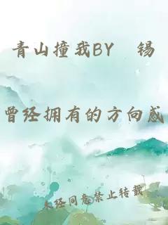 青山撞我BY姀锡