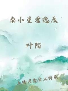 秦小星霍逸辰