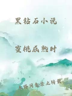 黑钻石小说