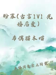 盼寡(古言1V1 先婚后爱)