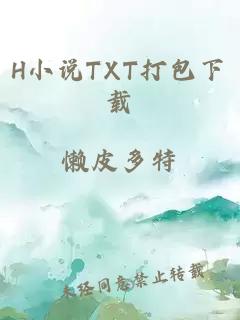 H小说TXT打包下载