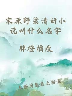 宋原野梁清妍小说叫什么名字