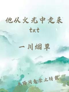 他从火光中走来txt