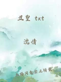 丑皇 txt