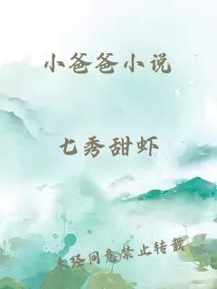 小爸爸小说