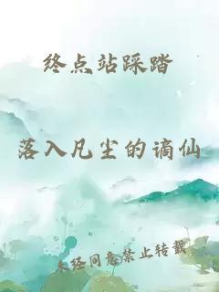 终点站踩踏