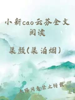 小新cao云芬全文阅读