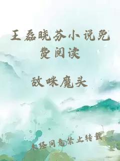 王磊晓芬小说免费阅读