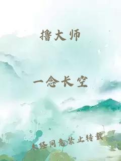 撸大师