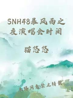 SNH48暴风雨之夜演唱会时间