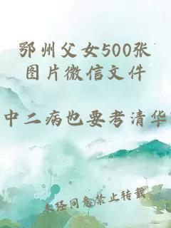 鄂州父女500张图片微信文件