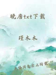 晚唐txt下载