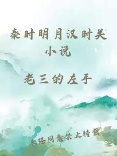 秦时明月汉时关小说