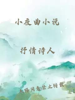 小夜曲小说