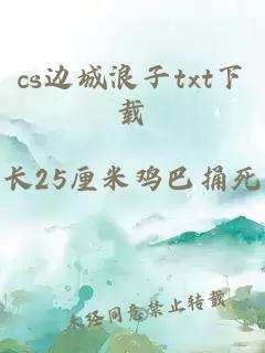 cs边城浪子txt下载