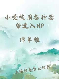 小受被用各种姿势进入NP