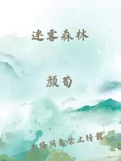 迷雾森林