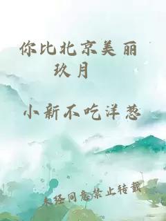 你比北京美丽 玖月晞