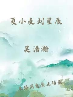 夏小麦刘星辰