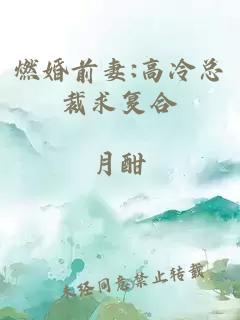 燃婚前妻:高冷总裁求复合