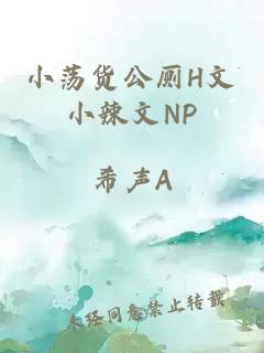 小荡货公厕H文小辣文NP