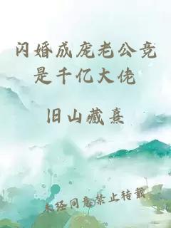 闪婚成庞老公竞是千亿大佬