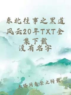 东北往事之黑道风云20年TXT全集下载