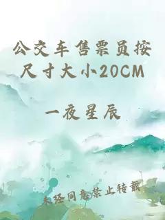 公交车售票员按尺寸大小20CM