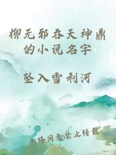 柳无邪吞天神鼎的小说名字